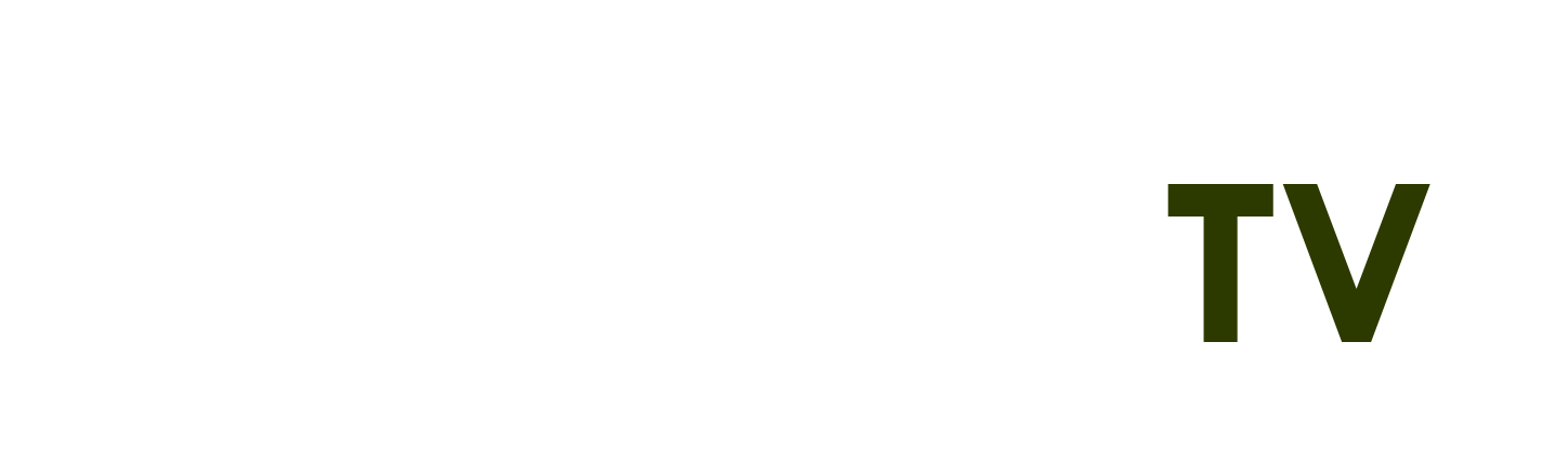 giải vđqg pháp